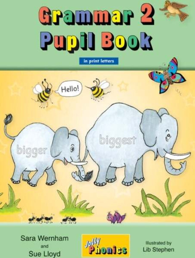 Grammar 2 Pupil Book av Sara Wernham, Sue Lloyd