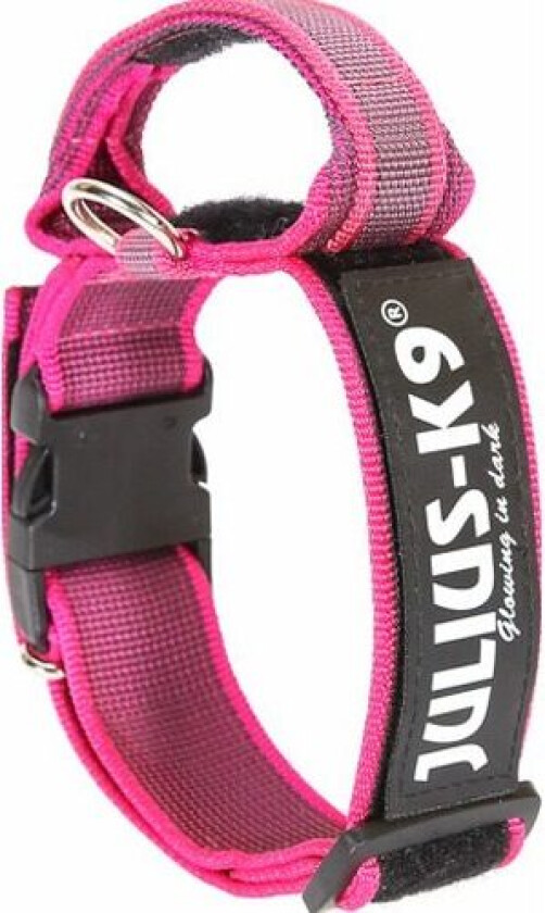 JULIUS-K9 Color & Gray® Hundehalsbånd med håndtak - Rosa (38-53 cm)