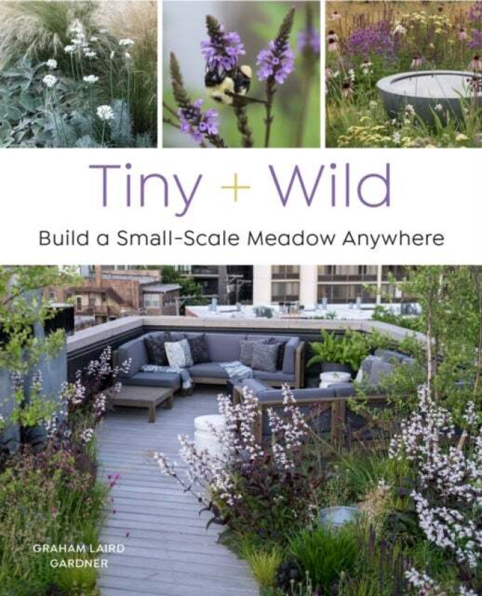 Tiny and Wild av Graham Laird Gardner