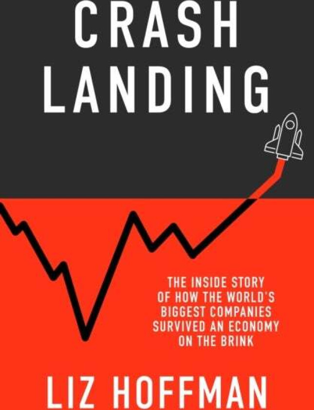 Crash Landing av Liz Hoffman