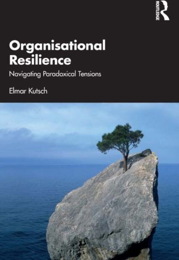 Organisational Resilience av Elmar Kutsch