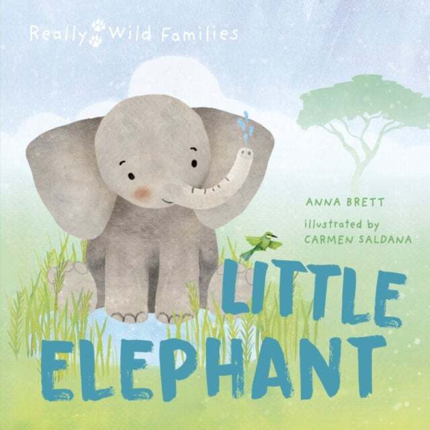 Little Elephant av Anna Brett