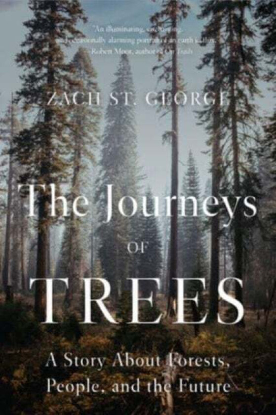 The Journeys of Trees av Zach St. George