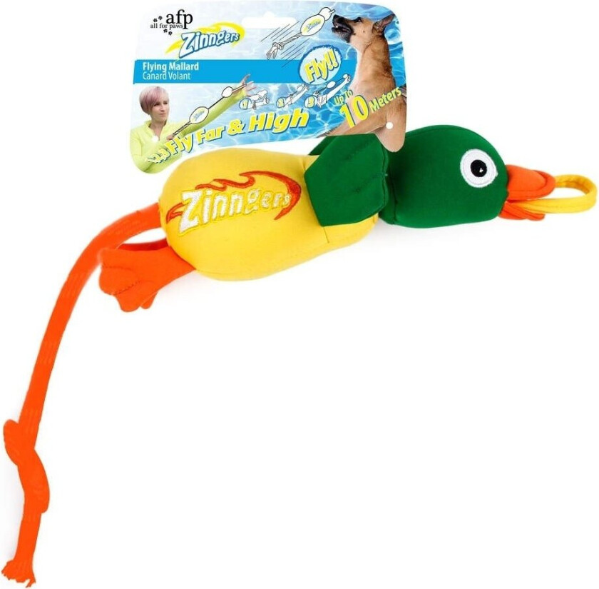 All for Paws Zinngers And