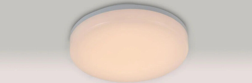 Taro taklampe IP54 22 cm 15W - Dimbar