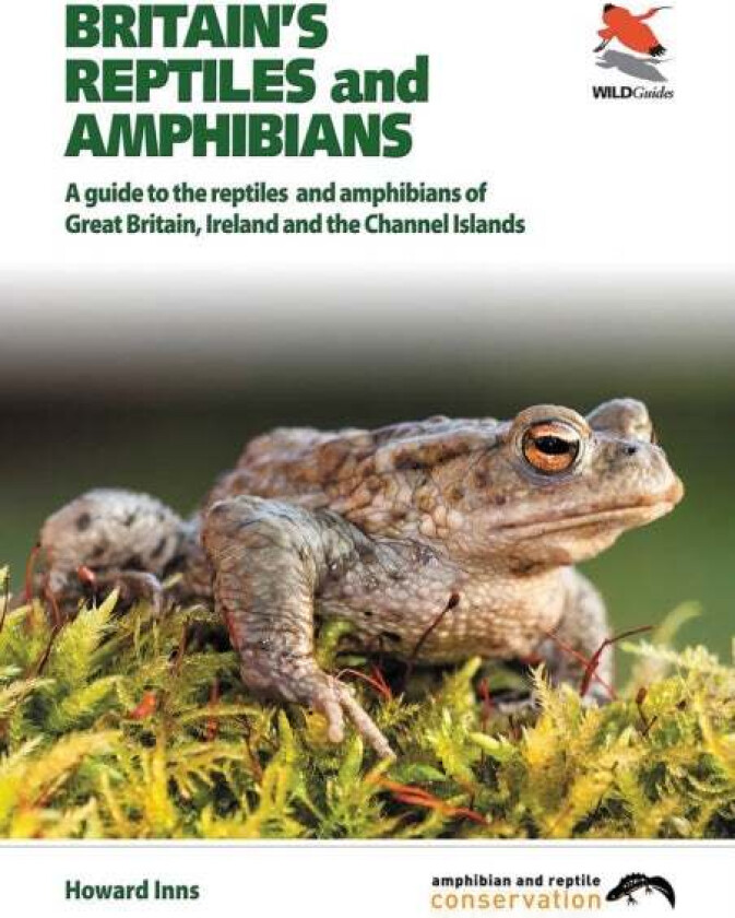 Britain`s Reptiles and Amphibians av Howard Inns, Chris Packham