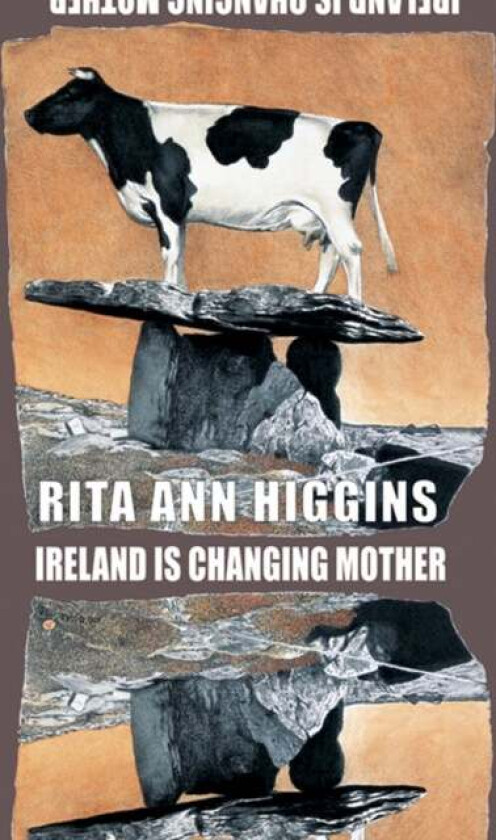 Ireland Is Changing Mother av Rita Ann Higgins
