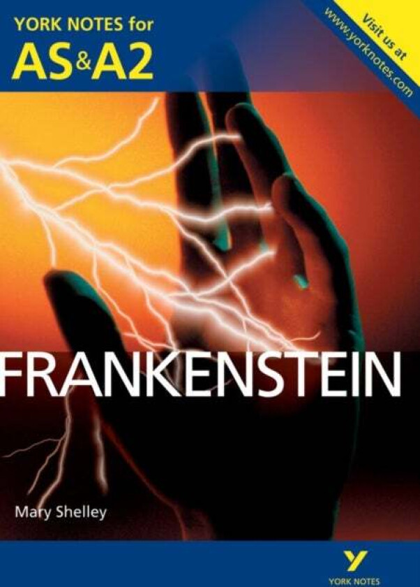 Frankenstein: York Notes for AS & A2 av Mary Shelley, Glennis Byron
