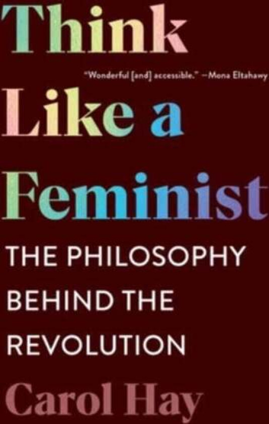 Think Like a Feminist av Carol Hay