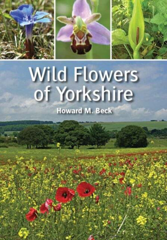 Wild Flowers of Yorkshire av Howard M Beck