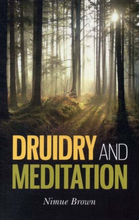 Druidry and Meditation av Nimue Brown