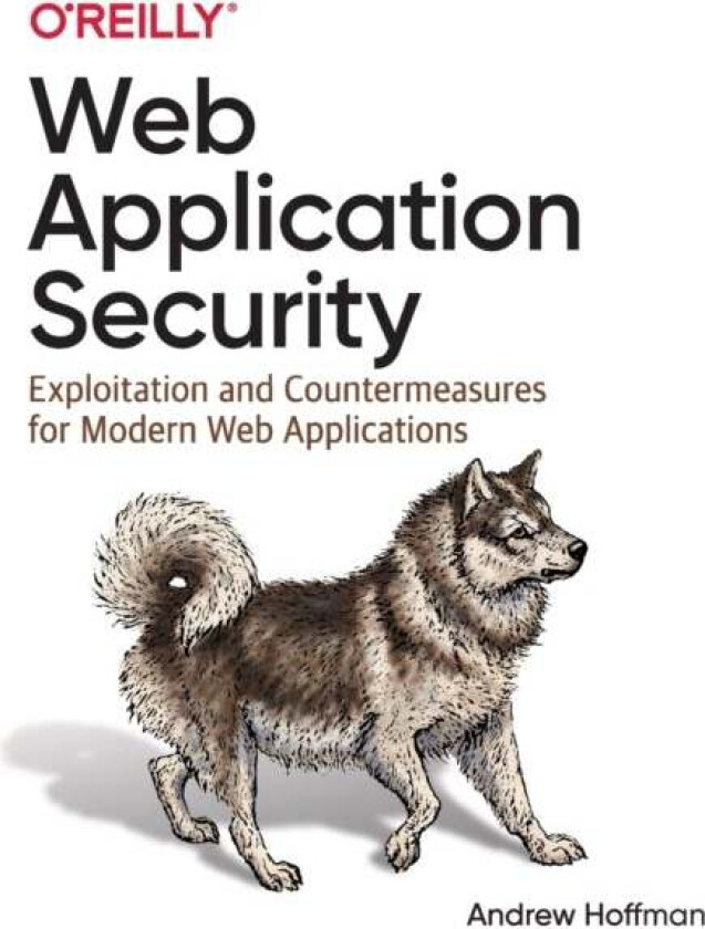 Web Application Security av Andrew Hoffman