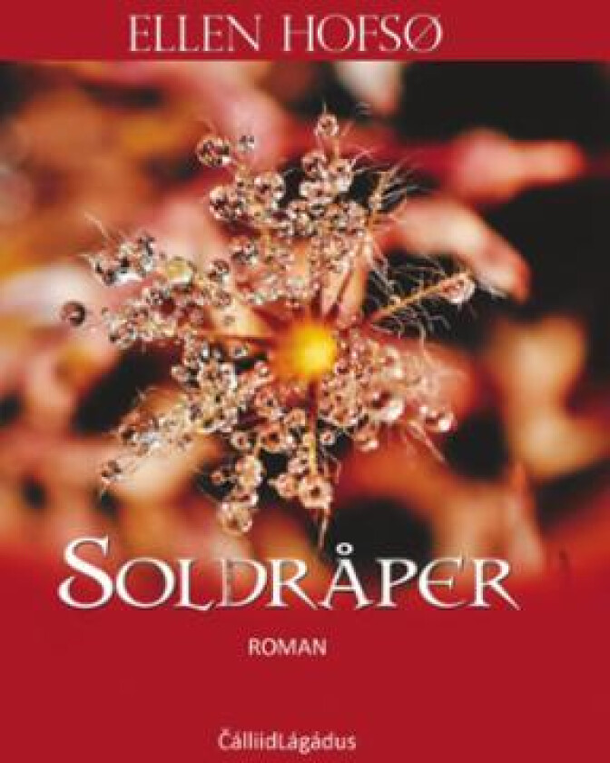 Soldråper av Ellen Hofsø