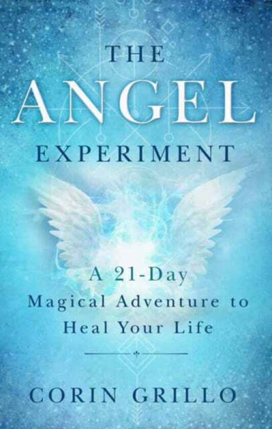 The Angel Experiment av Corin Grillo