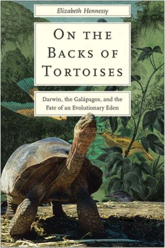 On the Backs of Tortoises av Elizabeth Hennessy