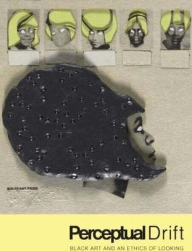 Perceptual Drift av Key Jo Lee