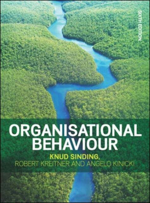Organisational Behaviour, 6e av Knud Sinding, Robert Kreitner, Angelo Kinicki