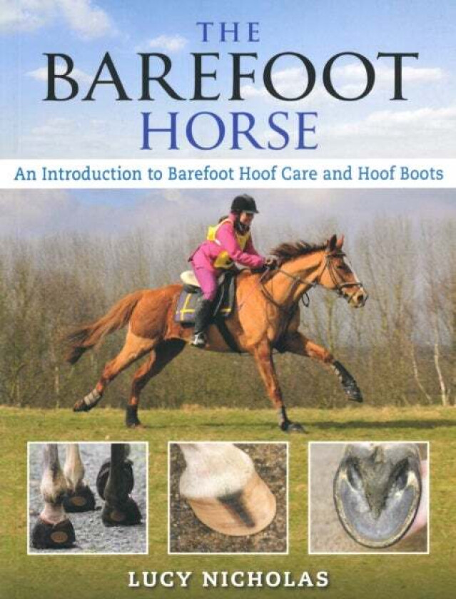 Barefoot Horse av Lucy Nicholas