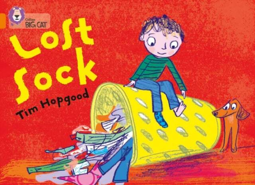 The Lost Sock av Tim Hopgood