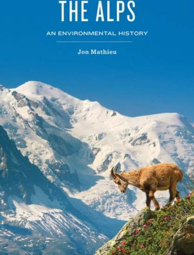 The Alps av Jon Mathieu