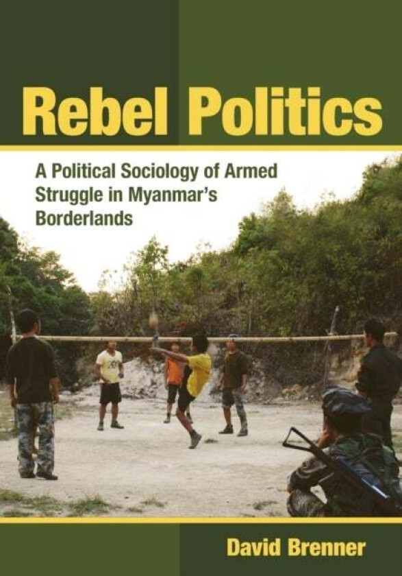 Rebel Politics av David Brenner