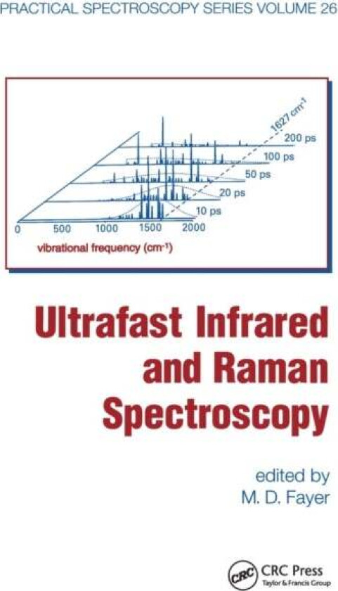 Ultrafast Infrared And Raman Spectroscopy av M.D. Fayer
