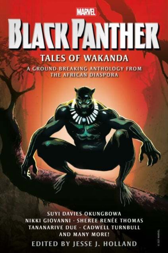 Black Panther: Tales of Wakanda av Jesse J. Holland, Sheree Renee Thomas, Nikki Giovanni, Tananarive Due, Cadwell Turnbull