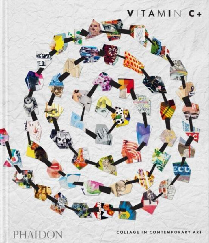 Vitamin C+ av Phaidon Editors