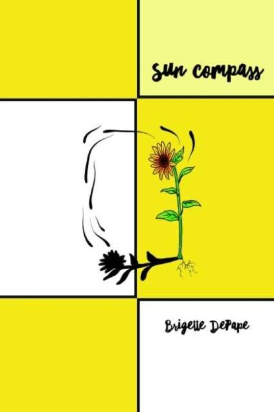 Sun Compass av Brigette DePape