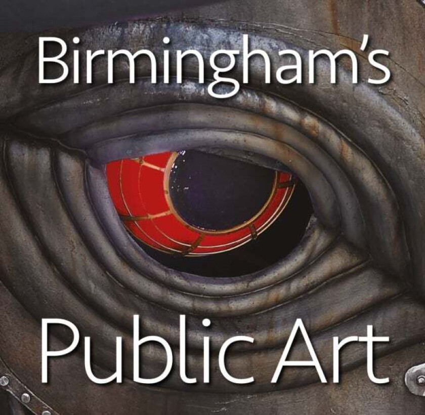 Birmingham's Public Art av Jonathan Berg