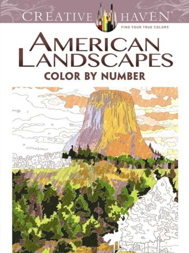 Creative Haven American Landscapes Color by Number Coloring Book av Diego Pereira