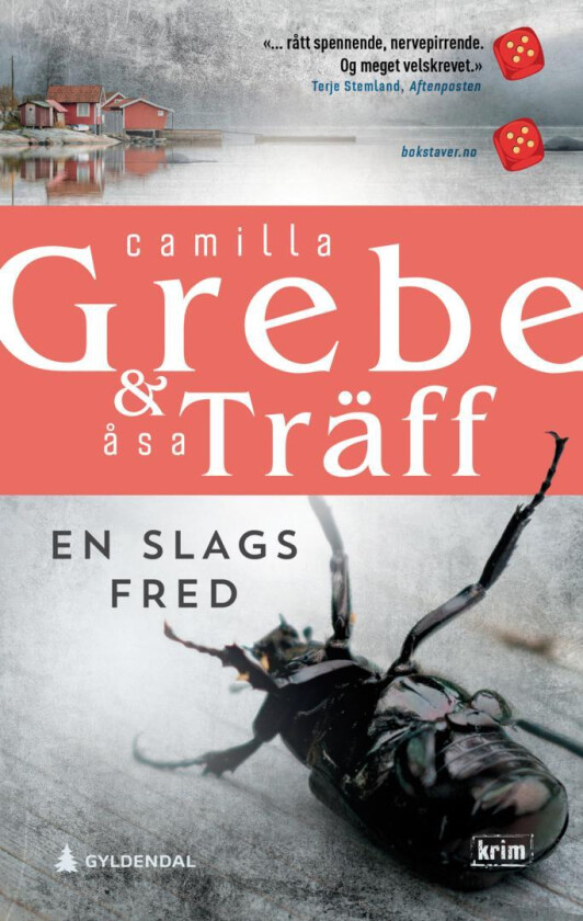 En slags fred av Camilla Grebe, Åsa Träff