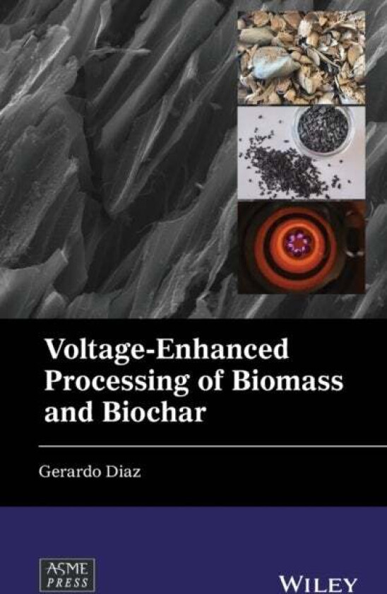 Voltage-Enhanced Processing of Biomass and Biochar av Gerardo Diaz