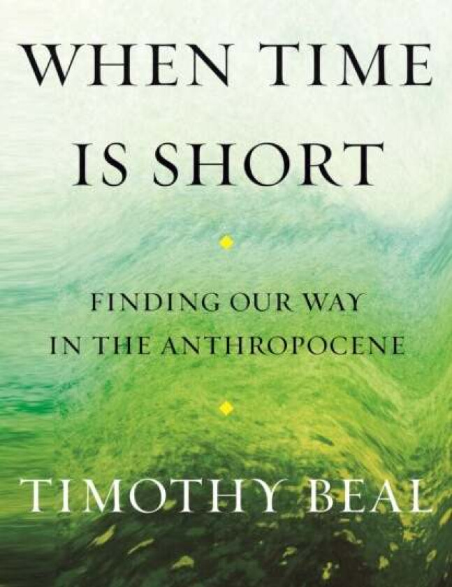 When Time Is Short av Timothy Beal