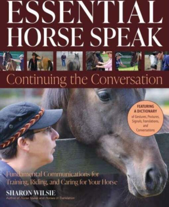 Essential Horse Speak: Continuing the Conversation av Sharon Wilsie