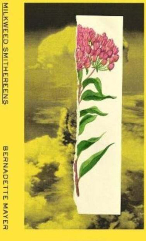 Milkweed Smithereens av Bernadette Mayer