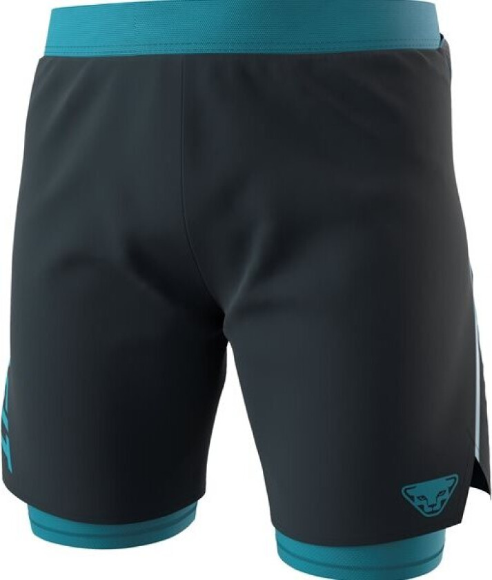 Dynafit Alpine Pro 2 /1 Shorts M blueberry/storm blue