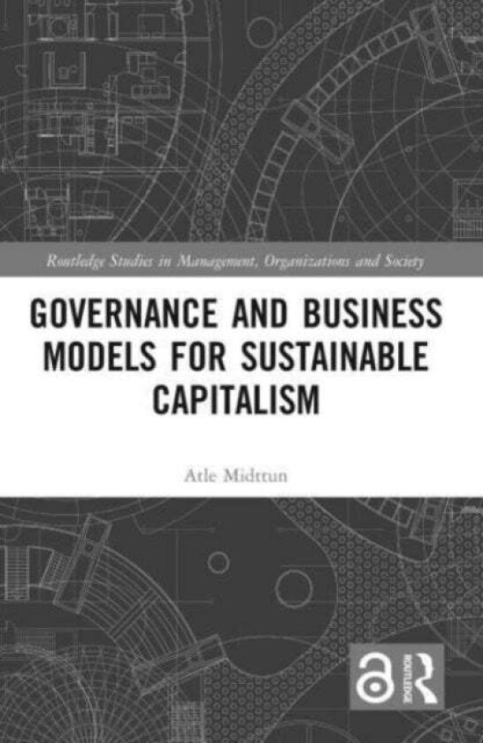 Governance and Business Models for Sustainable Capitalism av Atle Midttun