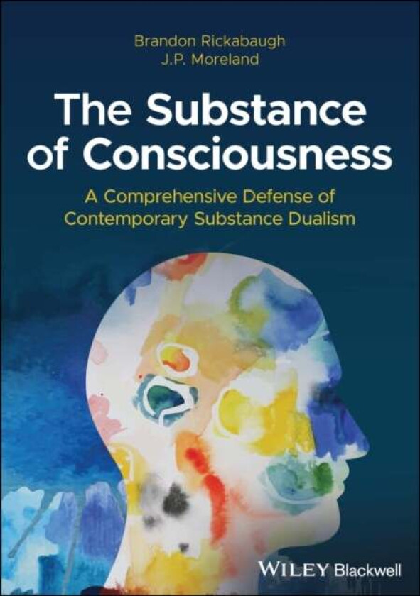 The Substance of Consciousness av Brandon (Palm Beach Atlantic University) Rickabaugh, J. P. (Biola University) Moreland