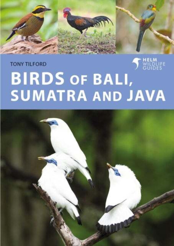 Birds of Bali, Sumatra and Java av Tony Tilford