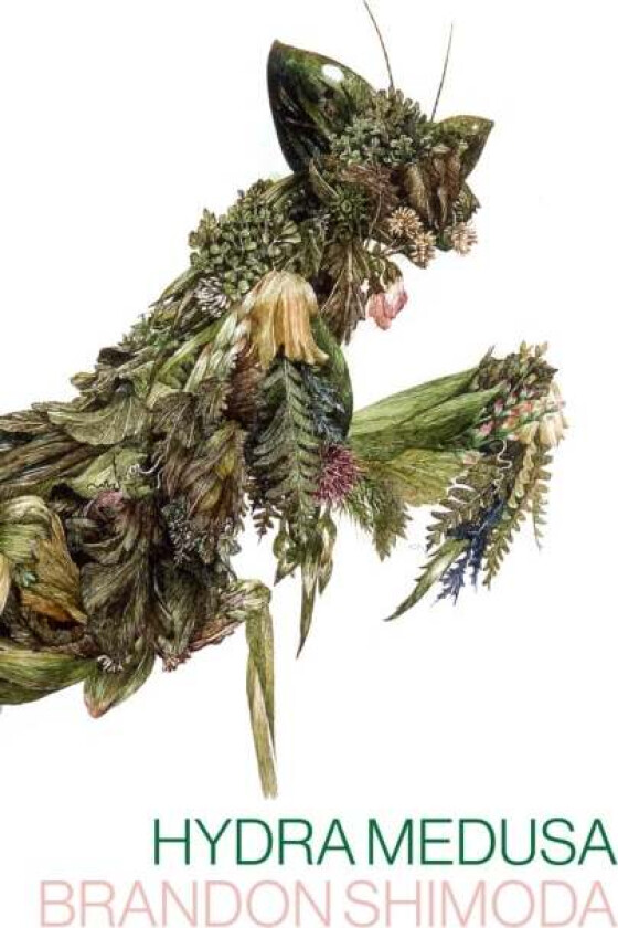 Hydra Medusa av Brandon Shimoda