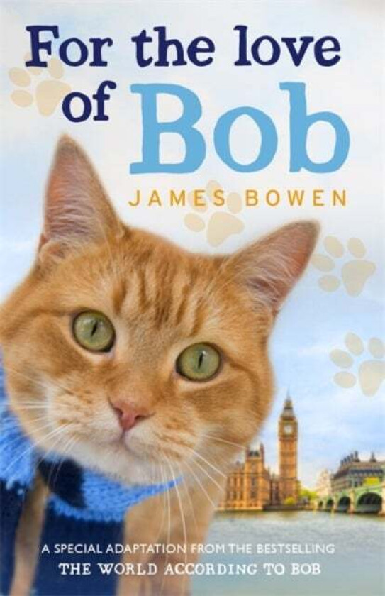 For the Love of Bob av James Bowen
