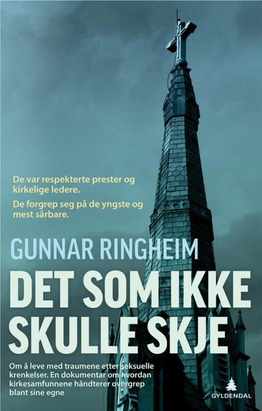 Det som ikke skulle skje av Gunnar Ringheim