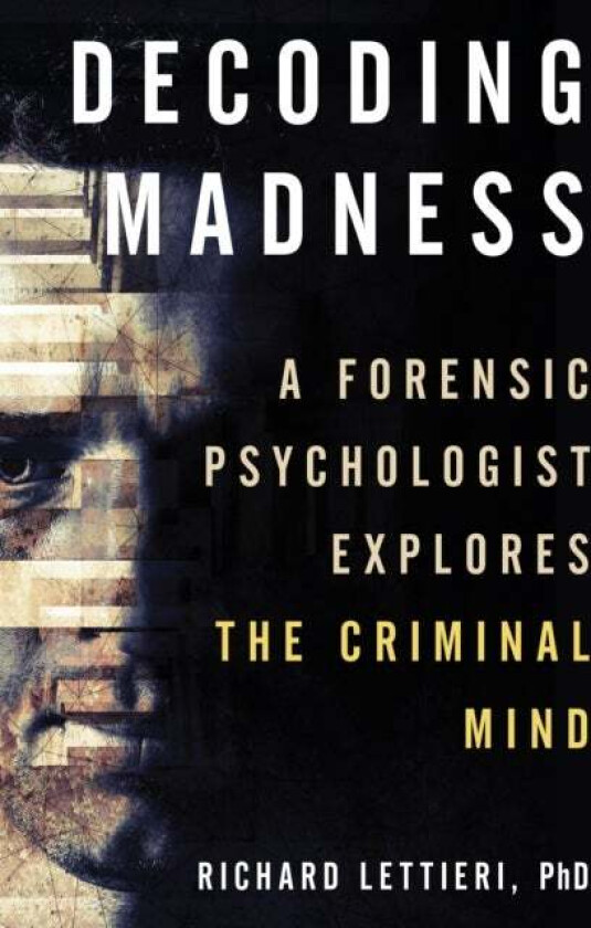 Decoding Madness av Richard Ph.D Lettieri