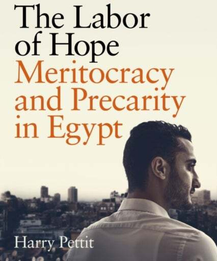 The Labor of Hope av Harry Pettit