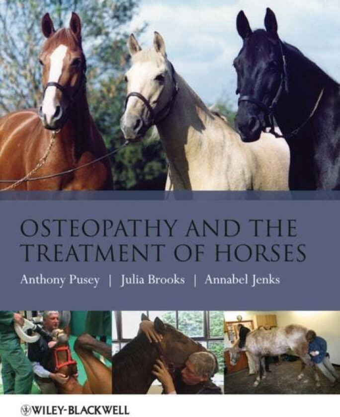Osteopathy and the Treatment of Horses av Anthony Pusey, Julia Brooks, Annabel Jenks