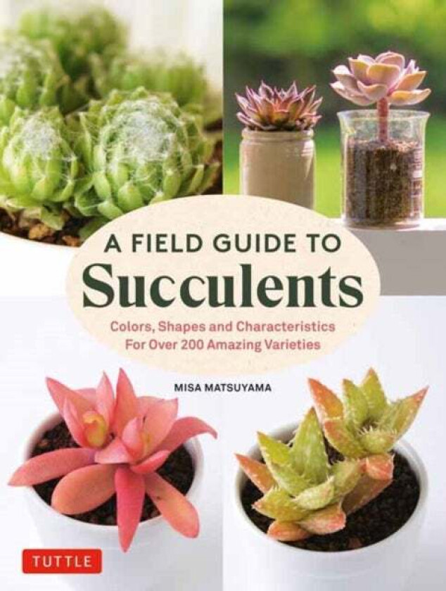 A Field Guide to Succulents av Misa Matsuyama