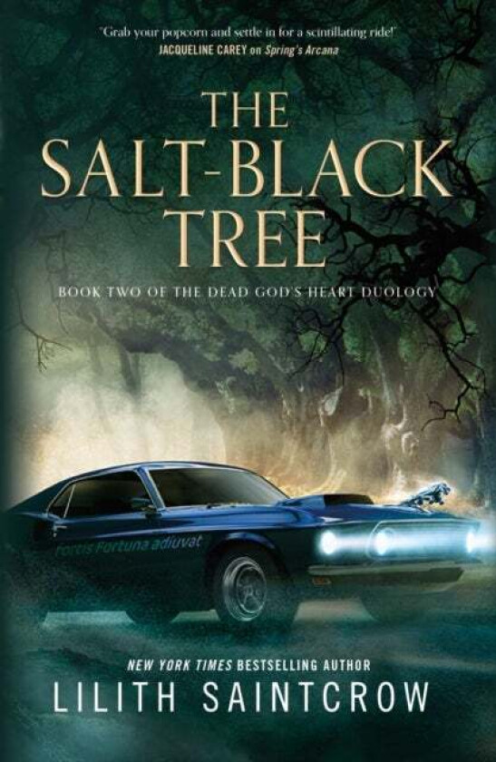The Salt-Black Tree av Lilith Saintcrow