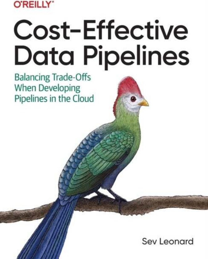 Cost-Effective Data Pipelines av Sev Leonard