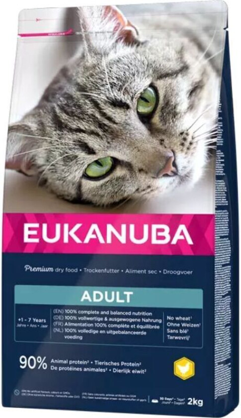 Eukanuba Cat Adult Chicken (10 kg)